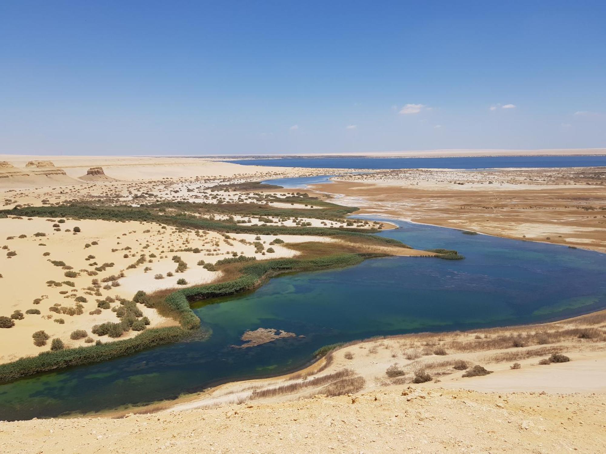Maged Pyramids View Inn Kafret el-Gabal Exterior foto